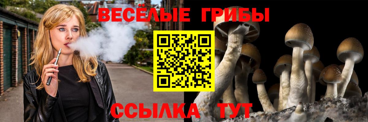 Галлюциногенные грибы Magic Shrooms  Псилоцибиновые грибы GOLDEN TEACHER  Вход с VPN  Балахна 